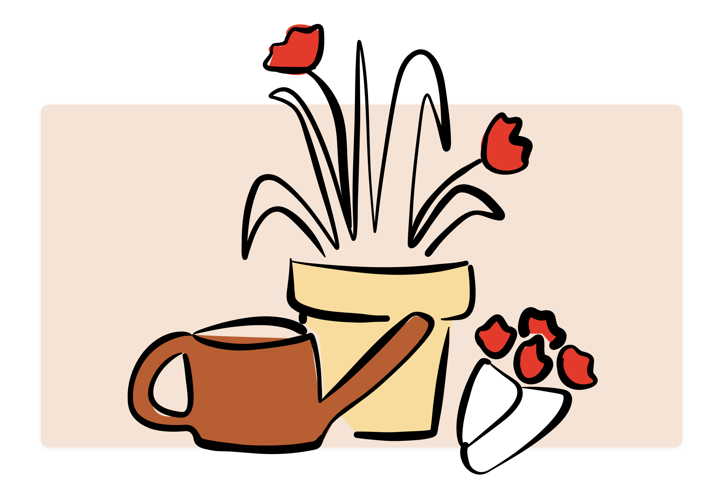 Final illustration - Plants